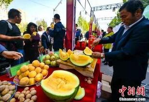 西安最新吃瓜爆料新闻,揭秘网红美食背后的惊人真相