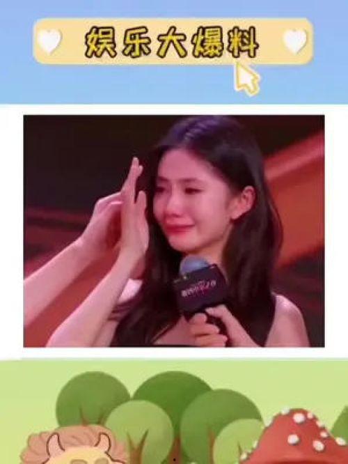 吃瓜娱乐圈综艺小说