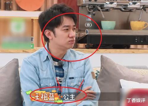 娱乐吃瓜王祖蓝是谁,王祖蓝的趣味人生